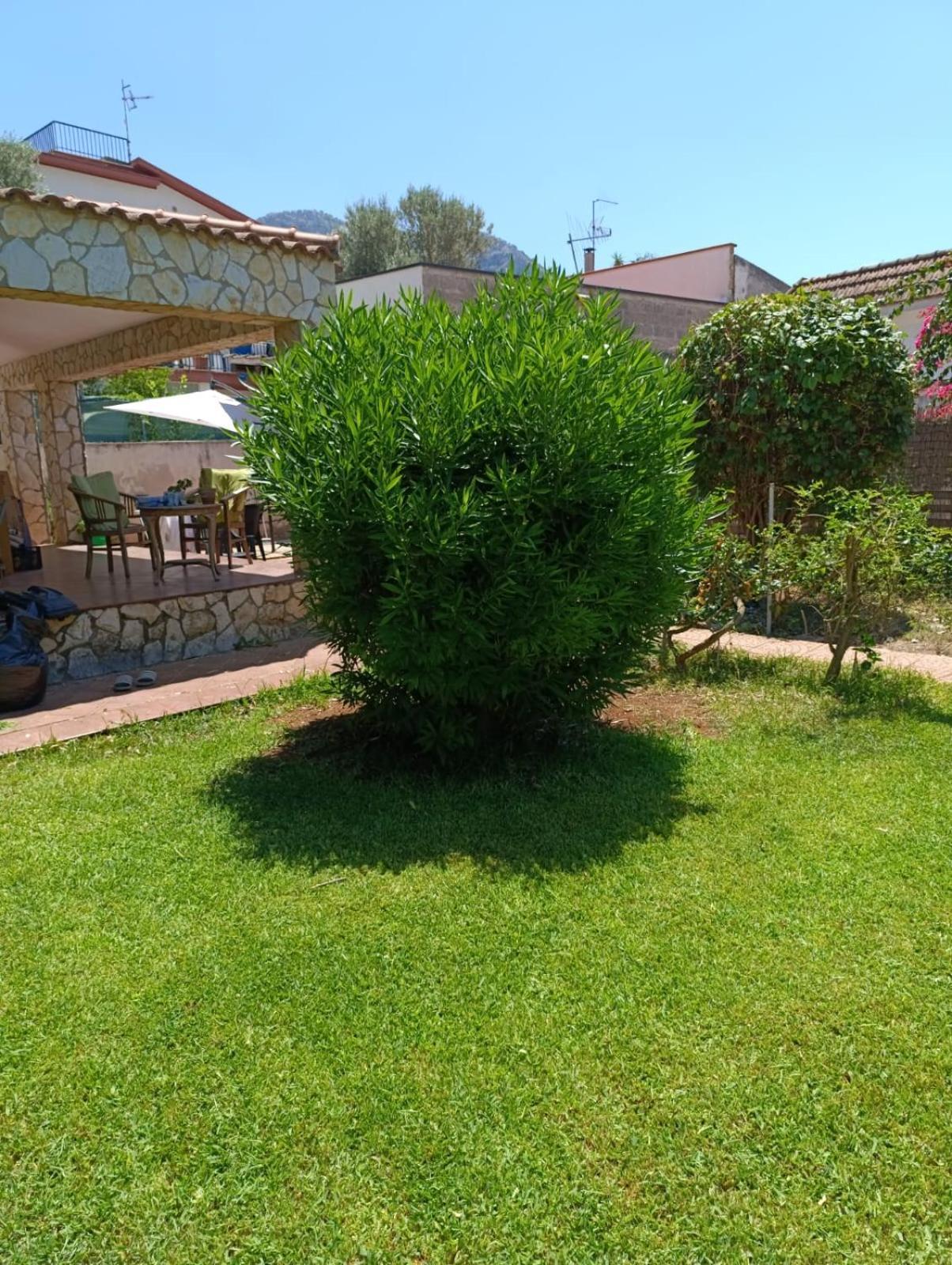Garden House Mondello Palermo Villa Exterior foto